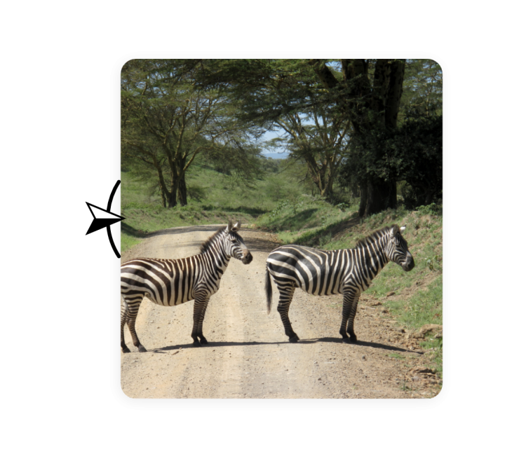 Reizen naar Kenia